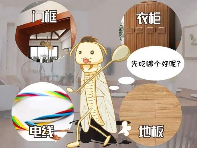 诉同比猛增月初高温上周低温开空调白蚁“热”飞了尊龙凯时新版APP白蚁出来了！近期