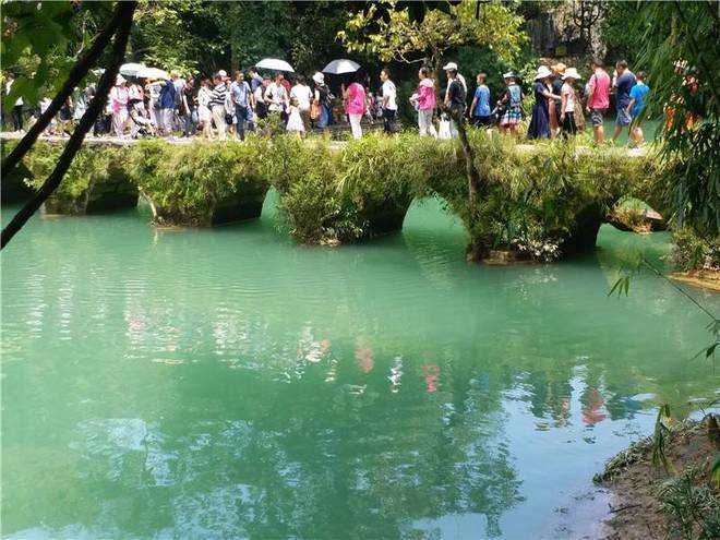 天一般费用多少到贵州六日游要花销多少尊龙凯时app平台端午去贵州旅游6(图3)